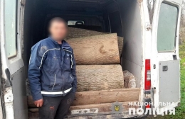 На Буковині затримали «Peugeot» з краденою деревиною