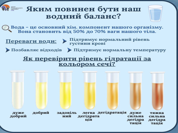 Водний баланс у нашому організмі…