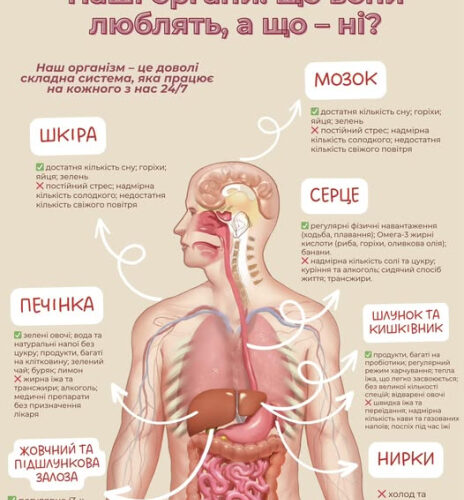 Наші органи: що вони люблять, а що – ні?