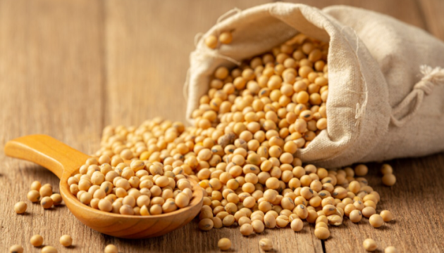 Запуск механізму пільгового експорту сої та ріпаку перебуває на фінальному етапі – Мінекономіки
