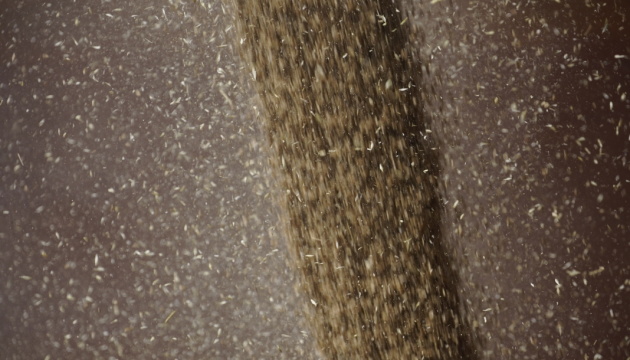 Україна експортувала понад 7 мільйонів тонн зерна