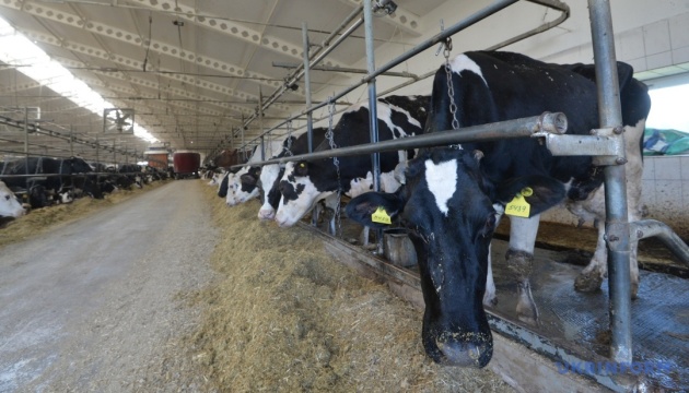 Аграріям із прифронтових територій компенсують 50% вартості будівництва ферм