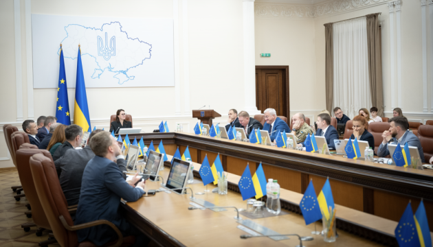 Уряд розпочав аудит оборонної сфери – Свириденко