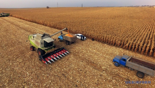 На Прикарпатті врожай зернових і зернобобових зібрали на 90% площ