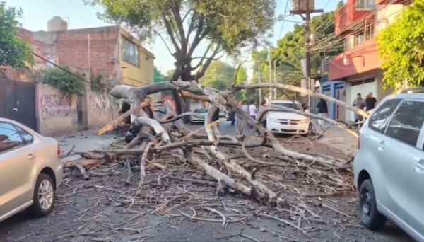 Потужний землетрус у Мексиці: двоє загиблих і 12 постраждалих