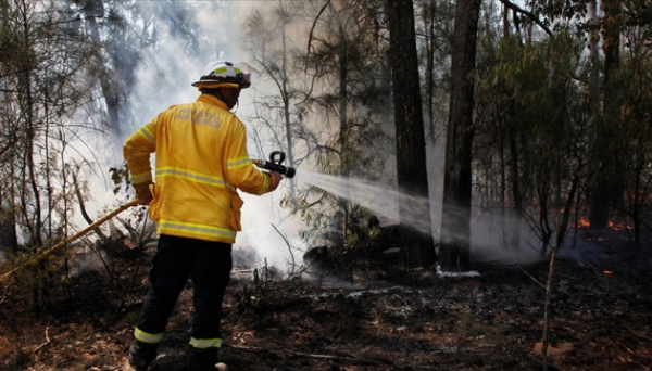 В Австралії вирують лісові пожежі, десятки тисяч людей залишилися без світла